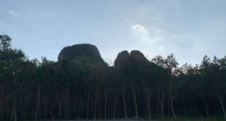 For sale land in Mueang Krabi, Krabi