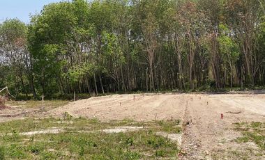 For sale land in Mueang Krabi, Krabi