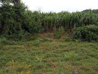 For sale land in Pak Tho, Ratchaburi