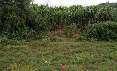 For sale land in Pak Tho, Ratchaburi
