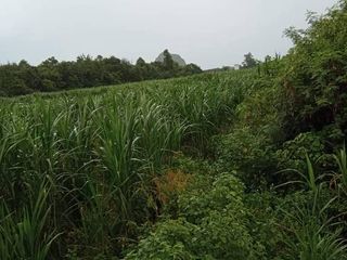 For sale land in Pak Tho, Ratchaburi