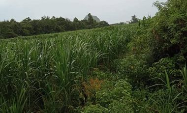 For sale land in Pak Tho, Ratchaburi