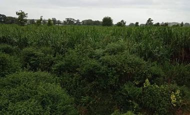 For sale land in Pak Tho, Ratchaburi
