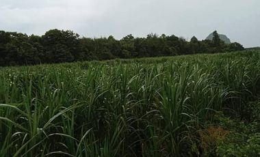 For sale land in Pak Tho, Ratchaburi
