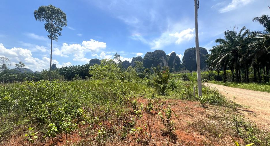 ขาย ที่ดิน ใน เมืองกระบี่, กระบี่
