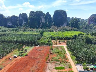 ขาย ที่ดิน ใน เมืองกระบี่, กระบี่