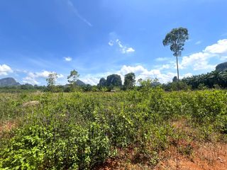 ขาย ที่ดิน ใน เมืองกระบี่, กระบี่