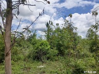 出售 土地 在 Ban Hong, Lamphun