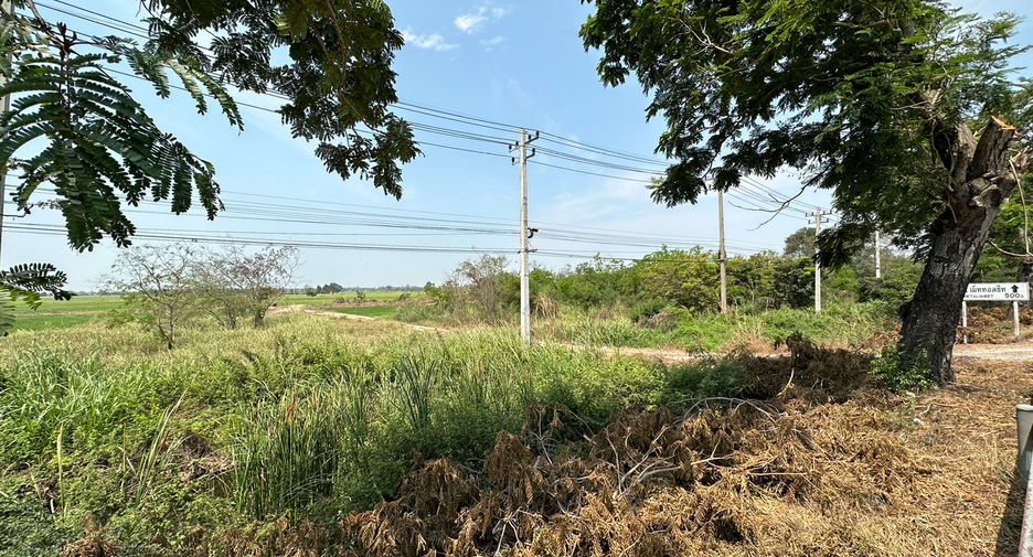 For sale land in Bang Pla Ma, Suphan Buri