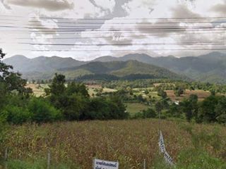 For sale land in Pai, Mae Hong Son