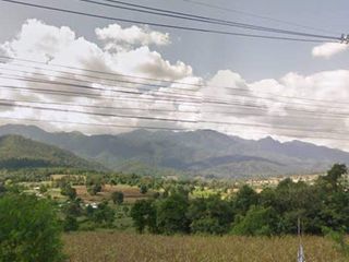 For sale land in Pai, Mae Hong Son