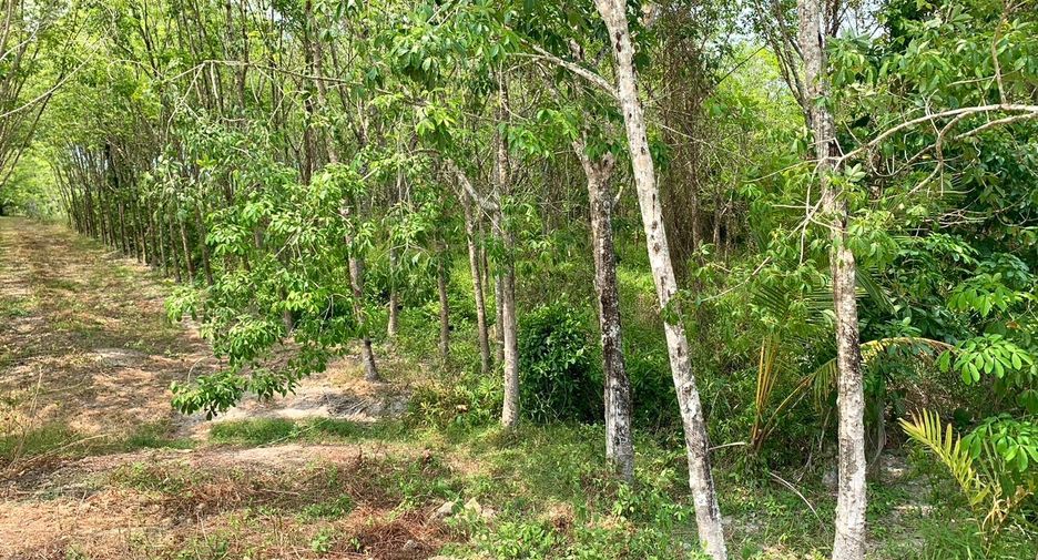 Terreno en venta en Takua Thung, Phang Nga