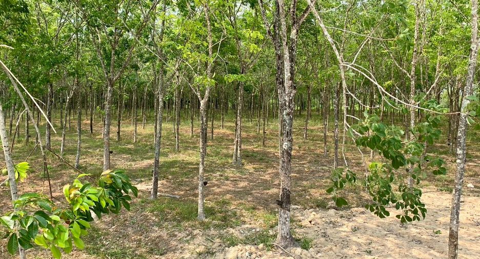 Terreno en venta en Takua Thung, Phang Nga