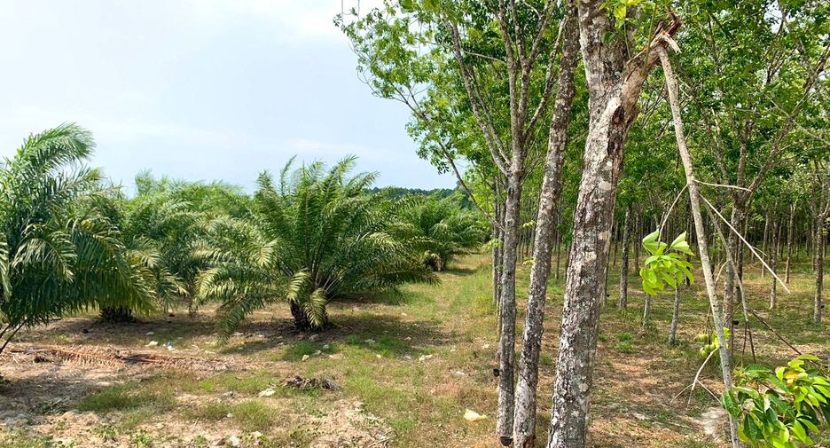 Terreno en venta en Takua Thung, Phang Nga