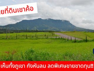 For sale land in Khao Kho, Phetchabun
