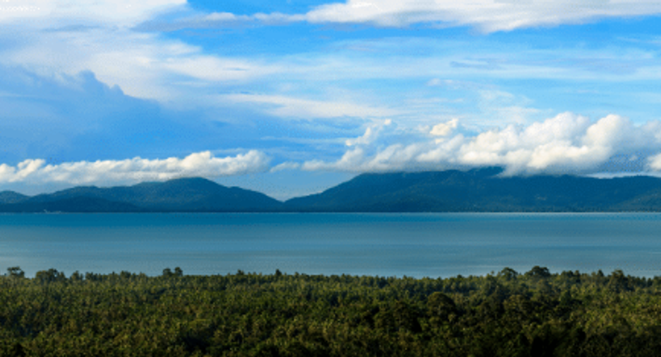 For sale 1 bed apartment in Ko Samui, Surat Thani