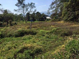 For sale land in Pai, Mae Hong Son