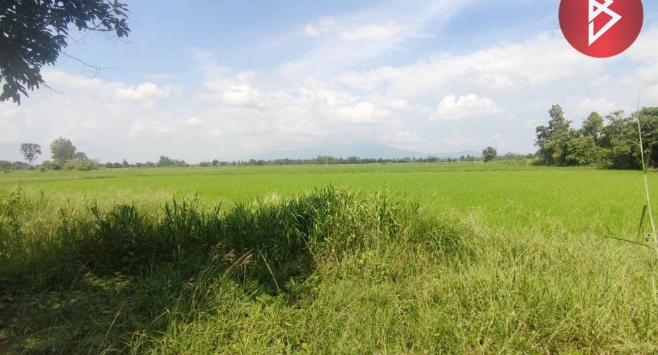 For sale land in Phran Kratai, Kamphaeng Phet
