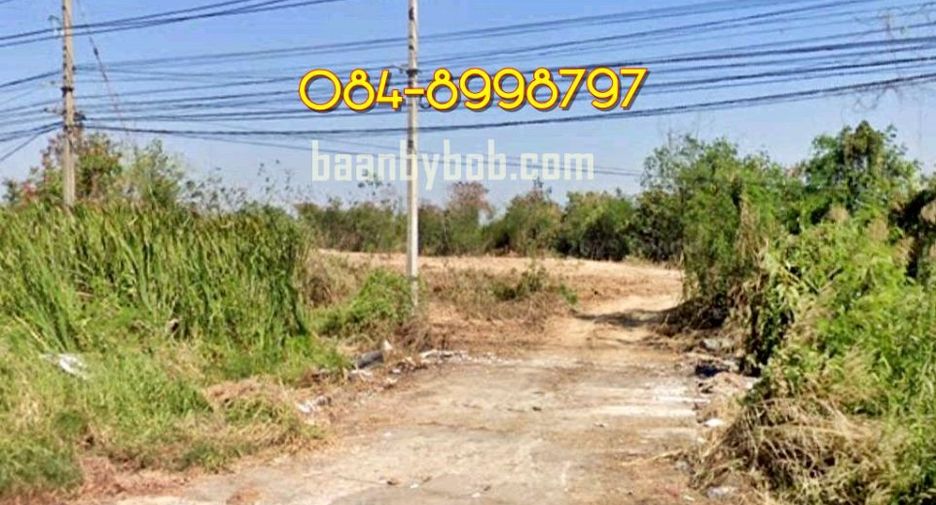 For rent land in Lat Lum Kaeo, Pathum Thani