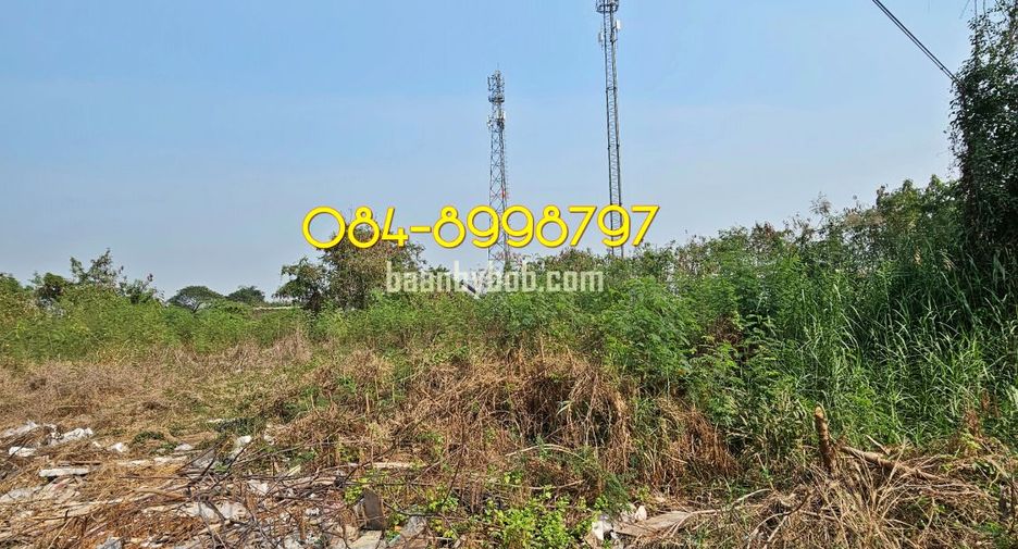 Grundstück zur Miete in Lat Lum Kaeo, Pathum Thani
