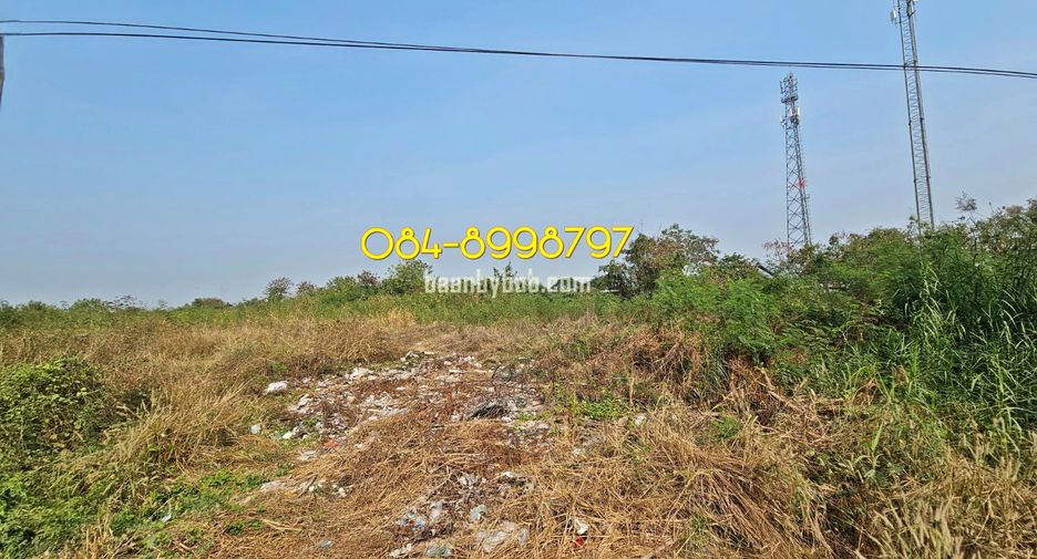 Grundstück zur Miete in Lat Lum Kaeo, Pathum Thani