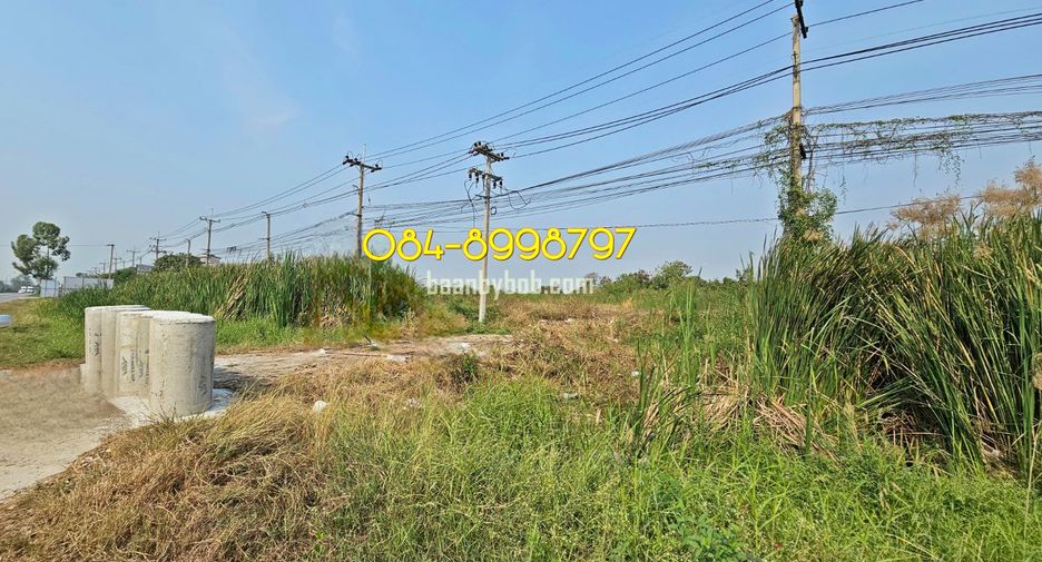 Grundstück zur Miete in Lat Lum Kaeo, Pathum Thani