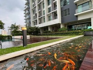 For sale 7 bedrooms condo in Phra Khanong, Bangkok