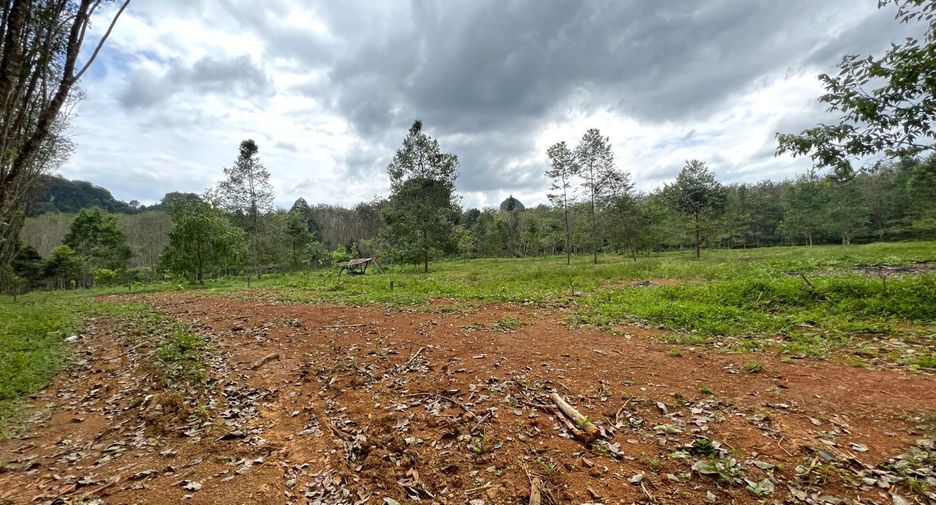 Grundstück zum Kauf in Mueang Krabi, Krabi