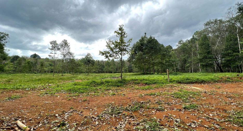 Grundstück zum Kauf in Mueang Krabi, Krabi