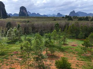 For sale land in Mueang Krabi, Krabi