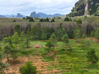 For sale land in Mueang Krabi, Krabi
