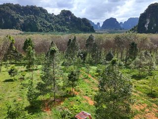 For sale land in Mueang Krabi, Krabi