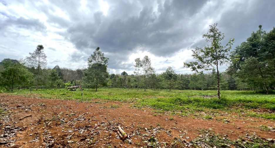 Grundstück zum Kauf in Mueang Krabi, Krabi