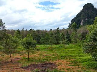 For sale land in Mueang Krabi, Krabi