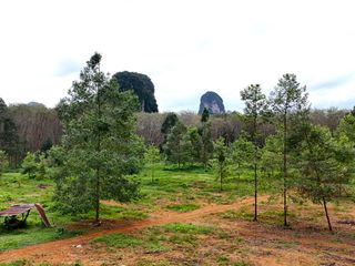 For sale land in Mueang Krabi, Krabi