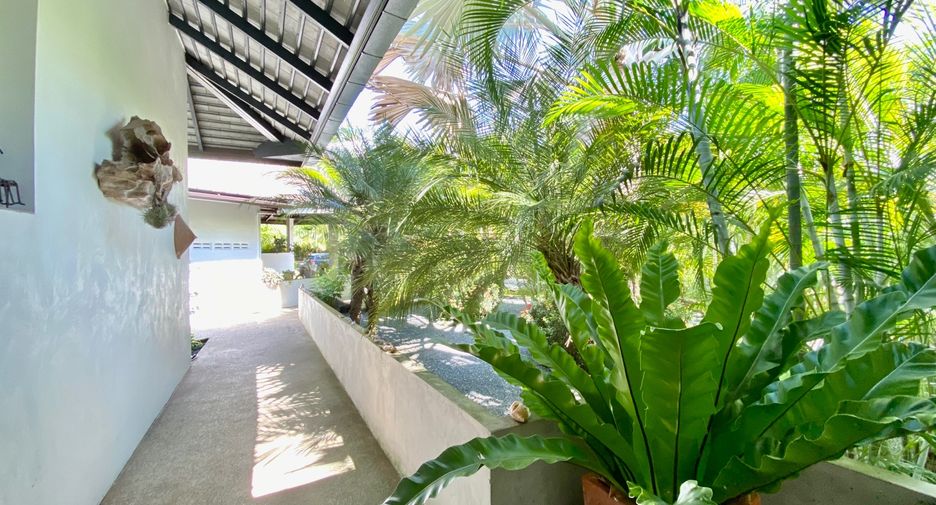 For rent and for sale 2 bedrooms house in Mae Rim, Chiang Mai