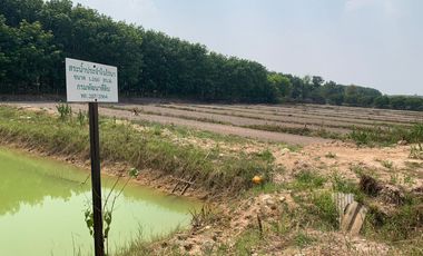 For sale land in Chiang Kham, Phayao