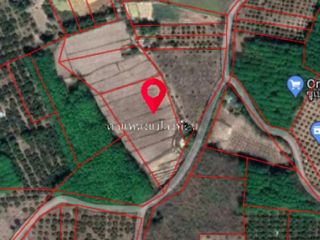 For sale land in Chiang Kham, Phayao