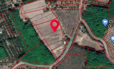 For sale land in Chiang Kham, Phayao
