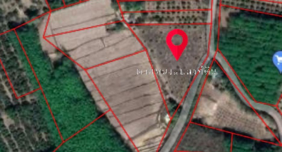 For sale land in Chiang Kham, Phayao