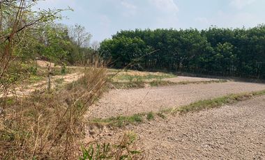 For sale land in Chiang Kham, Phayao