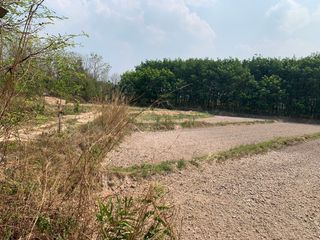 ขาย ที่ดิน ใน เชียงคำ, พะเยา