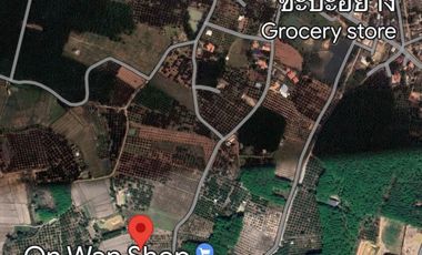 For sale land in Chiang Kham, Phayao