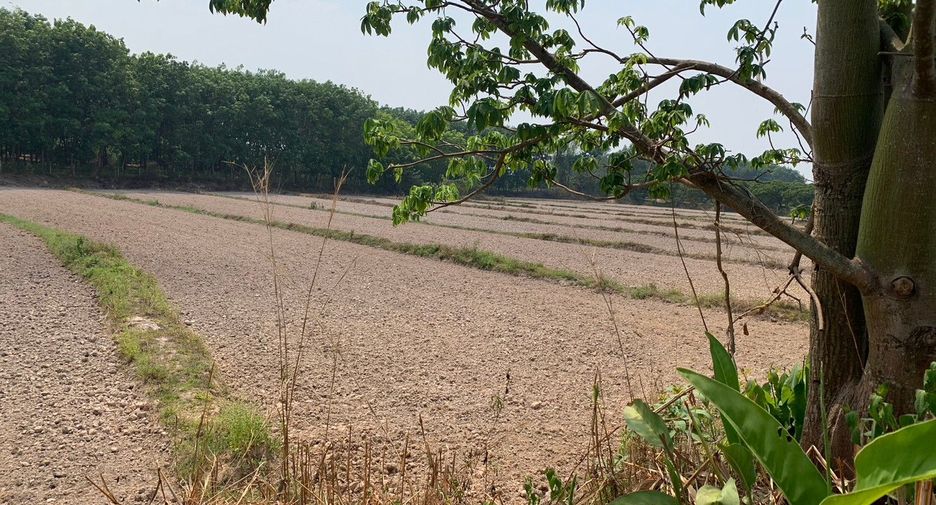 For sale land in Chiang Kham, Phayao