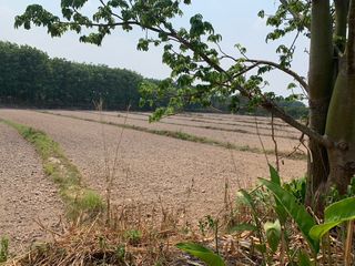 ขาย ที่ดิน ใน เชียงคำ, พะเยา