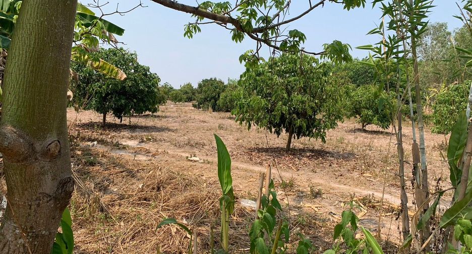 For sale land in Chiang Kham, Phayao