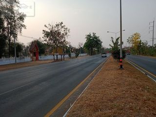 For sale land in Nong Phai, Phetchabun
