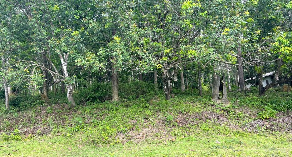 出售 土地 在 Takua Thung, Phangnga