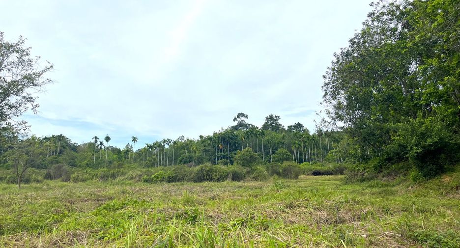 出售 土地 在 Takua Thung, Phangnga