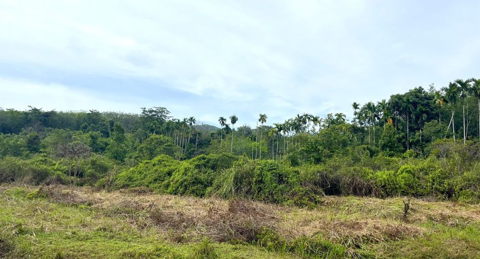 出售 土地 在 Takua Thung, Phangnga